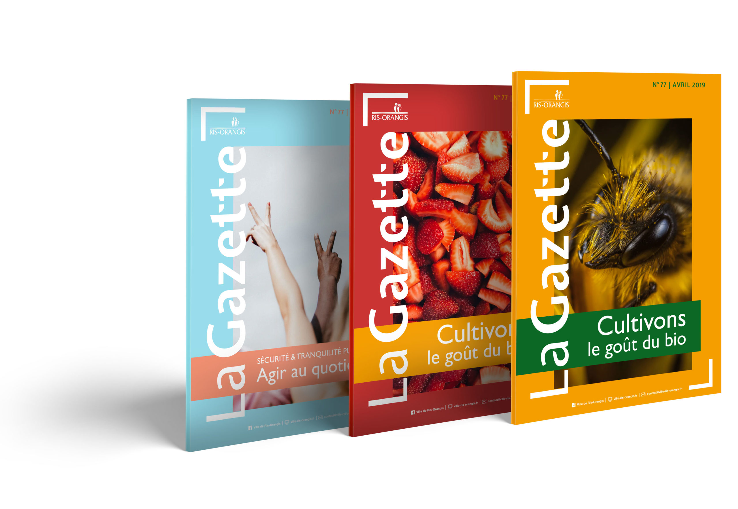 Ris Orangis - by Viracocha