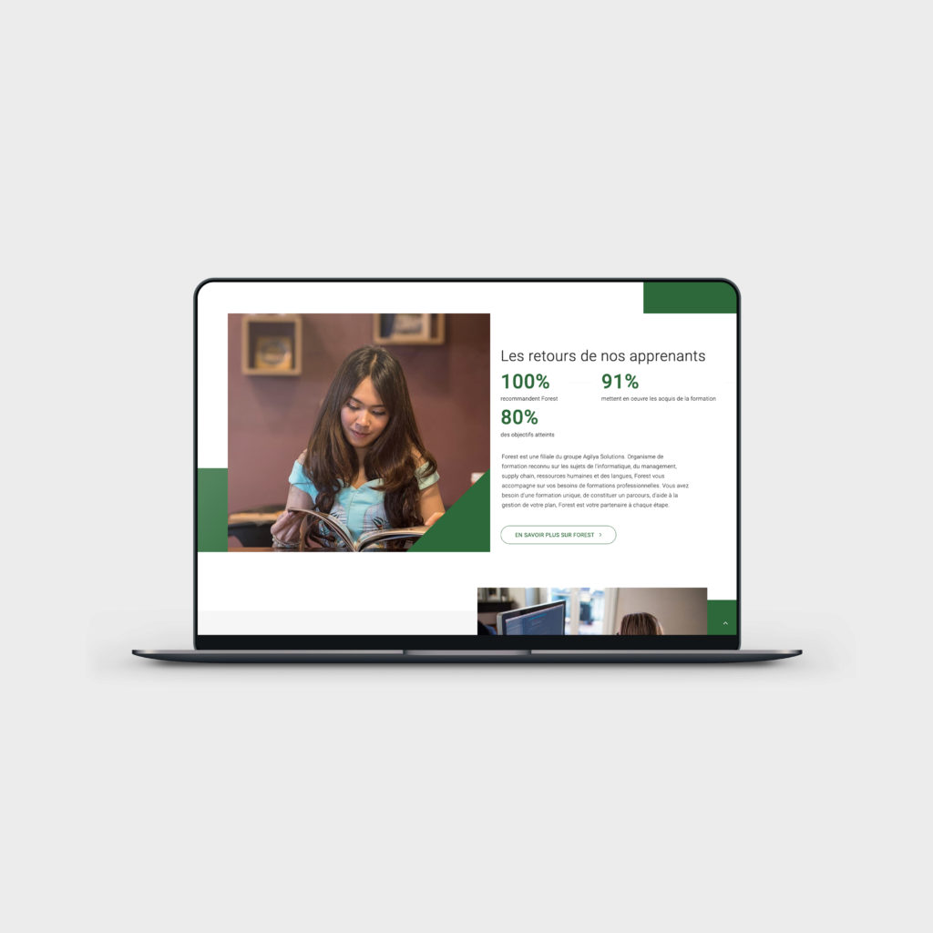 Forest - by Viracocha